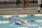 Swimming & Diving vs RWU  Swimming & Diving vs Roger Williams University. - Photo by Keith Nordstrom : Wheaton, Swimming